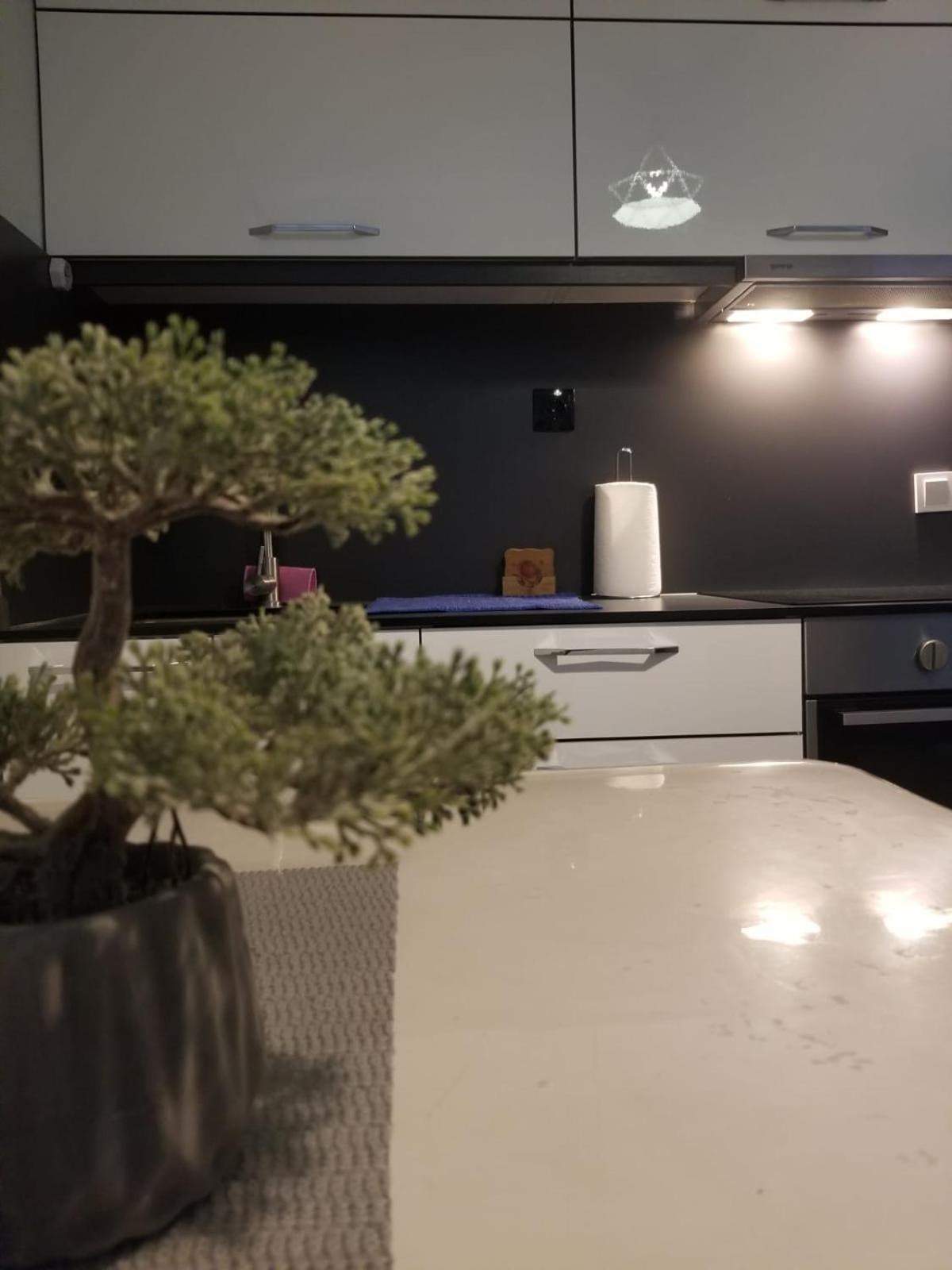 Cozy&Comfy Apartment In The Center Of Prishtina Pristina Extérieur photo